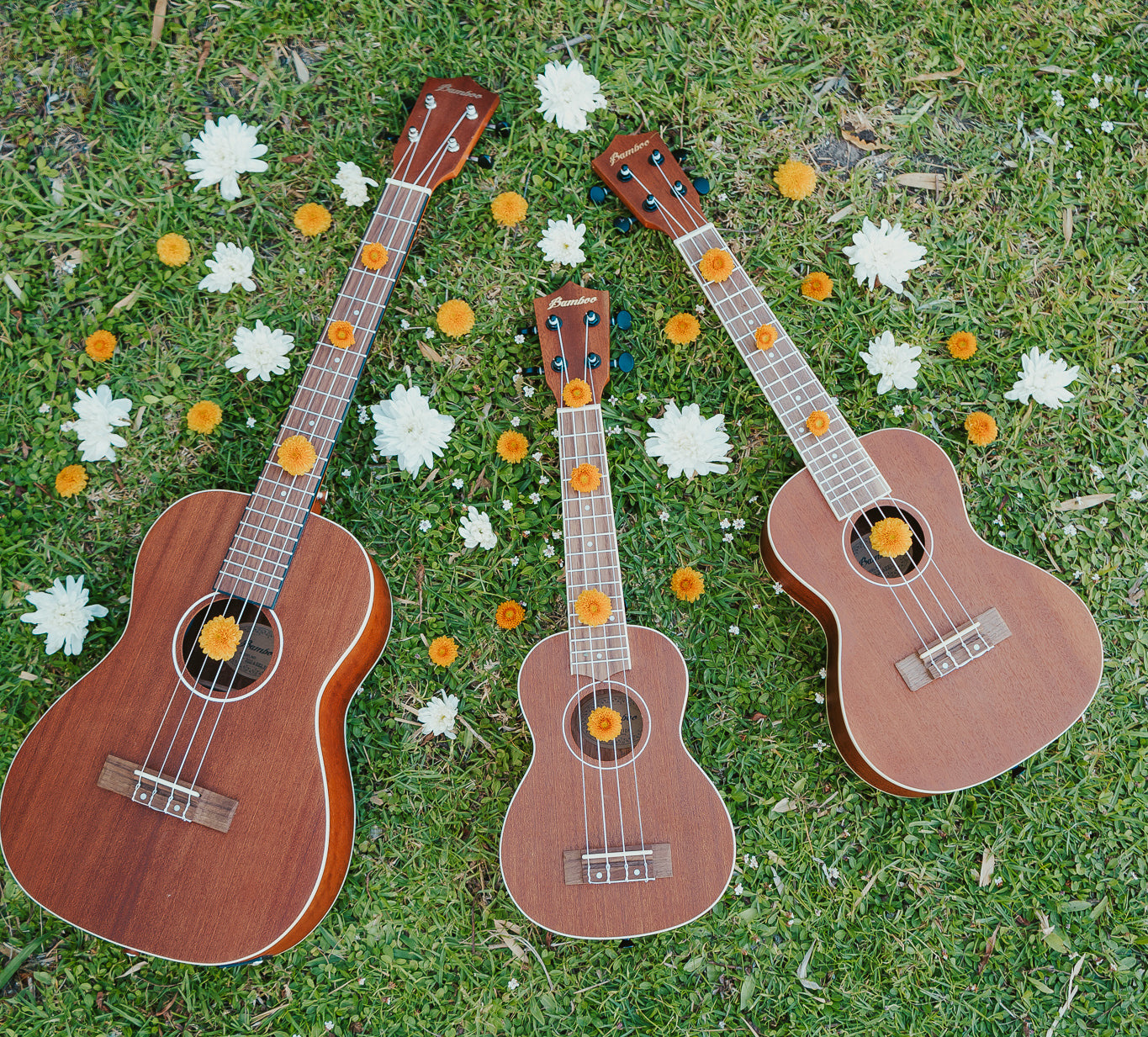 Qué tipo de ukelele es mejor para empezar?