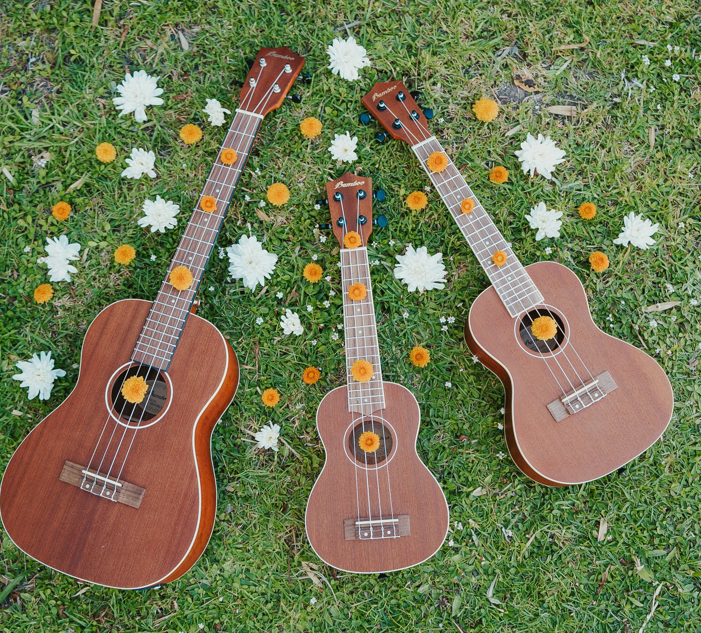 Qué tipo de ukelele es mejor para empezar? - Bamboo Música