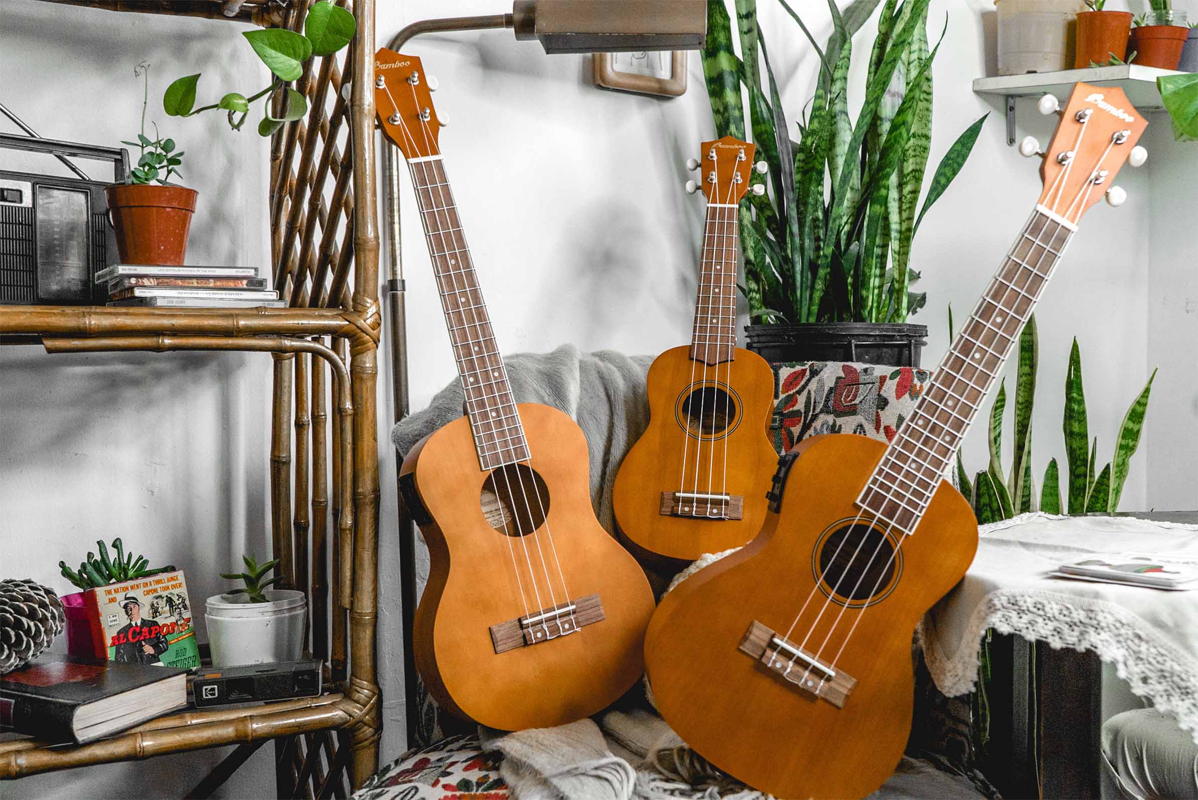Estudio - Bamboo Música
