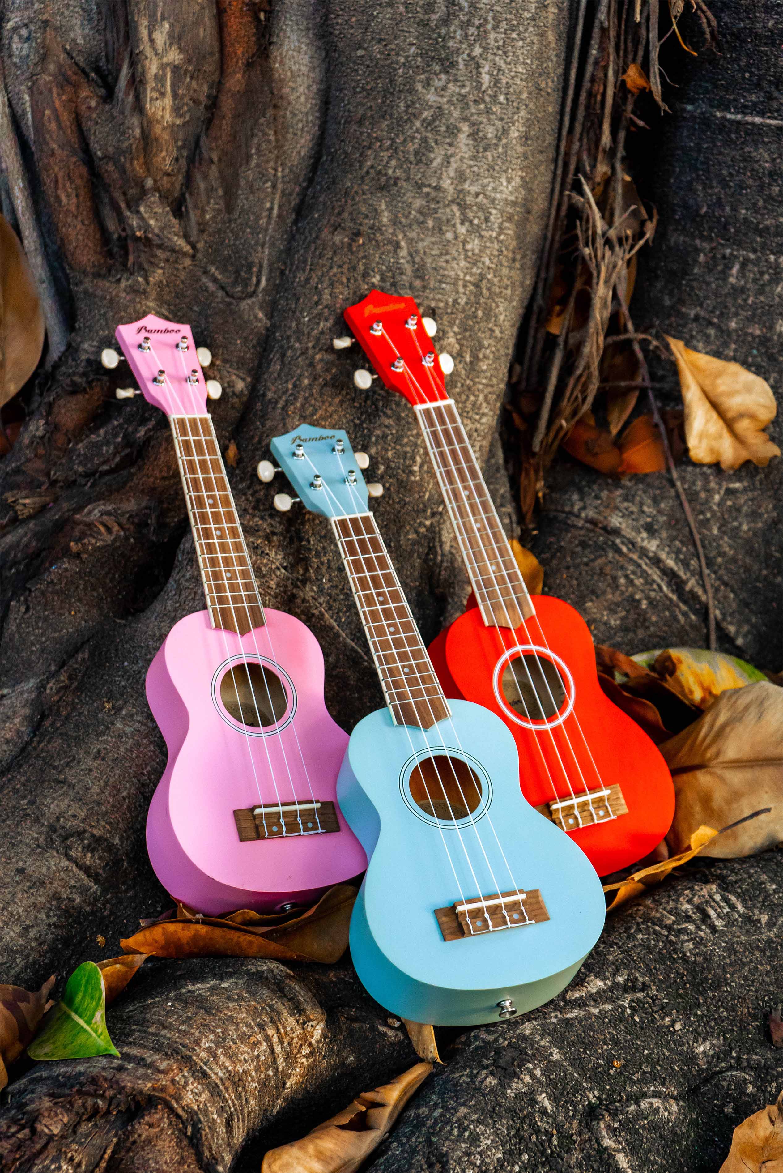 Soprano Estudio - Bamboo Música