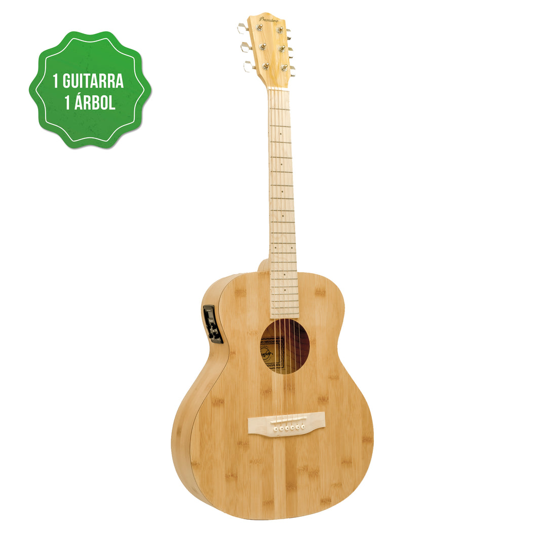 Guitarra Electroacústica Vision Bambú 38