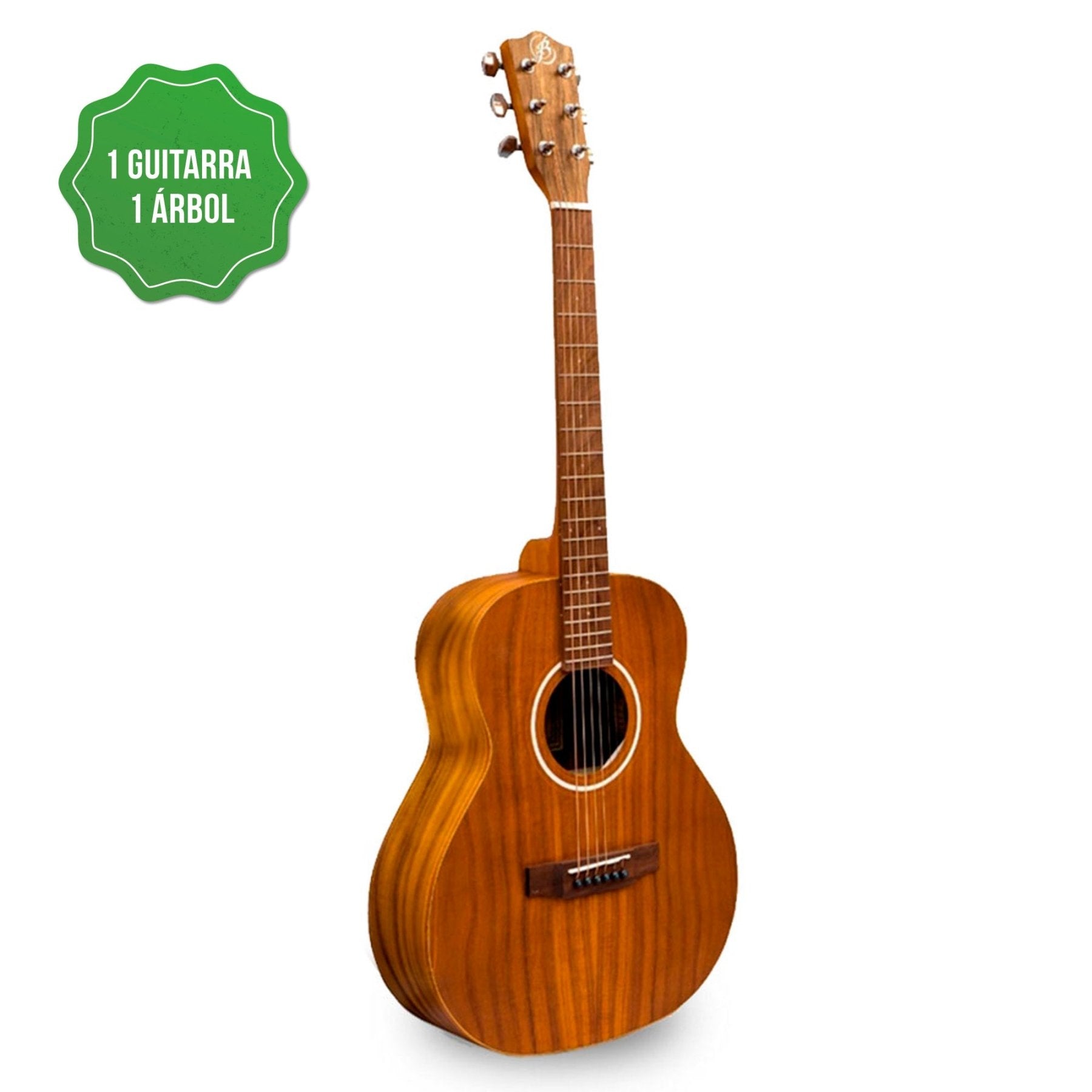Guitarra Acústica Vision Koa 38" – Outlet (Logo Despegado) - Bamboo Música
