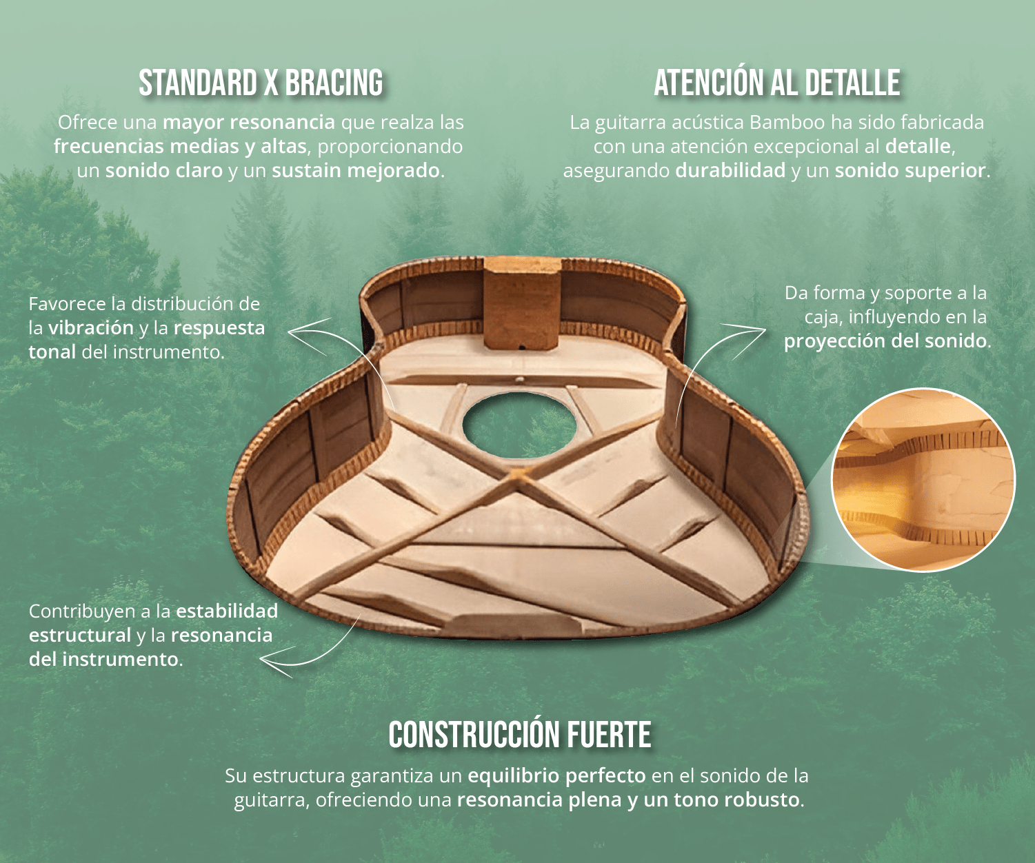 Guitarra Acustica Vision Mahogany 38" - Incluye Funda Acolchada - Bamboo Música