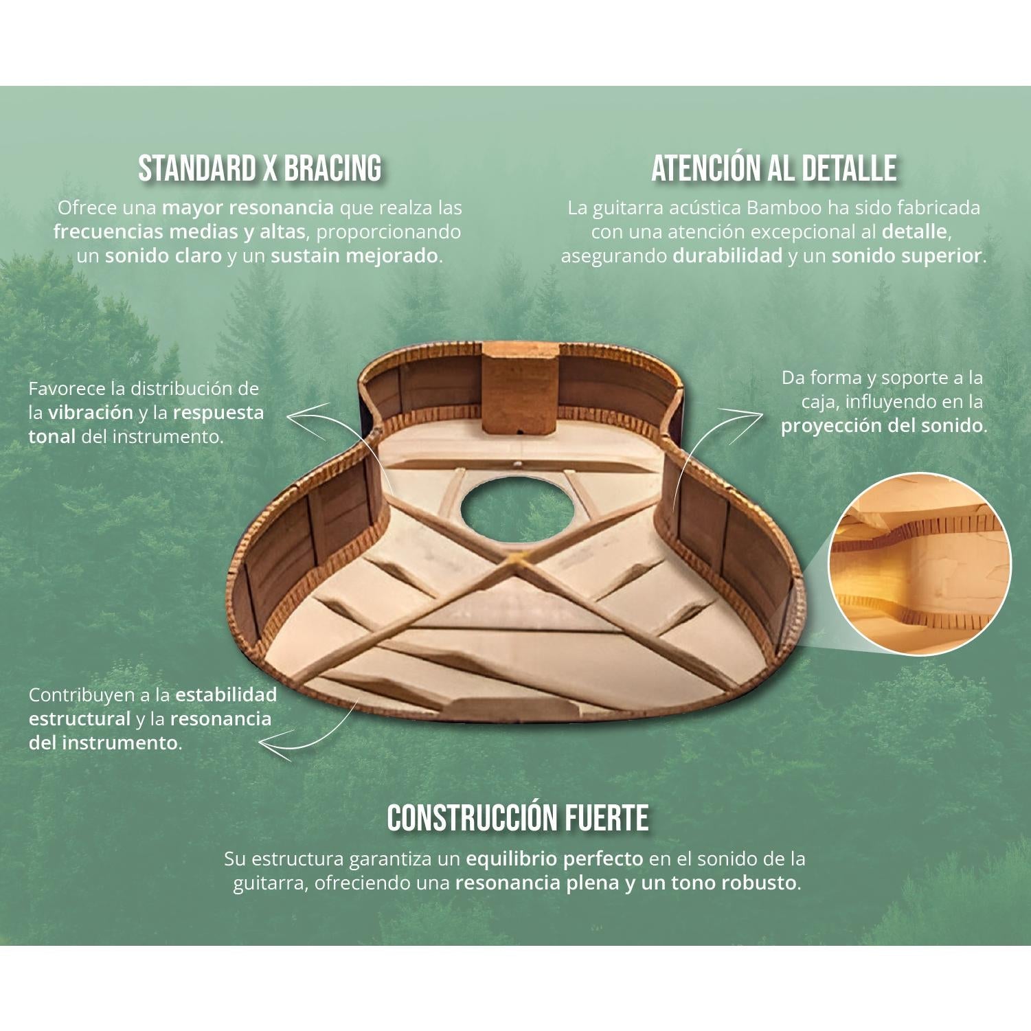 Guitarra Electroacustica Vision Nordic Wolf 38″ - Incluye Funda Acolchada - Bamboo Música