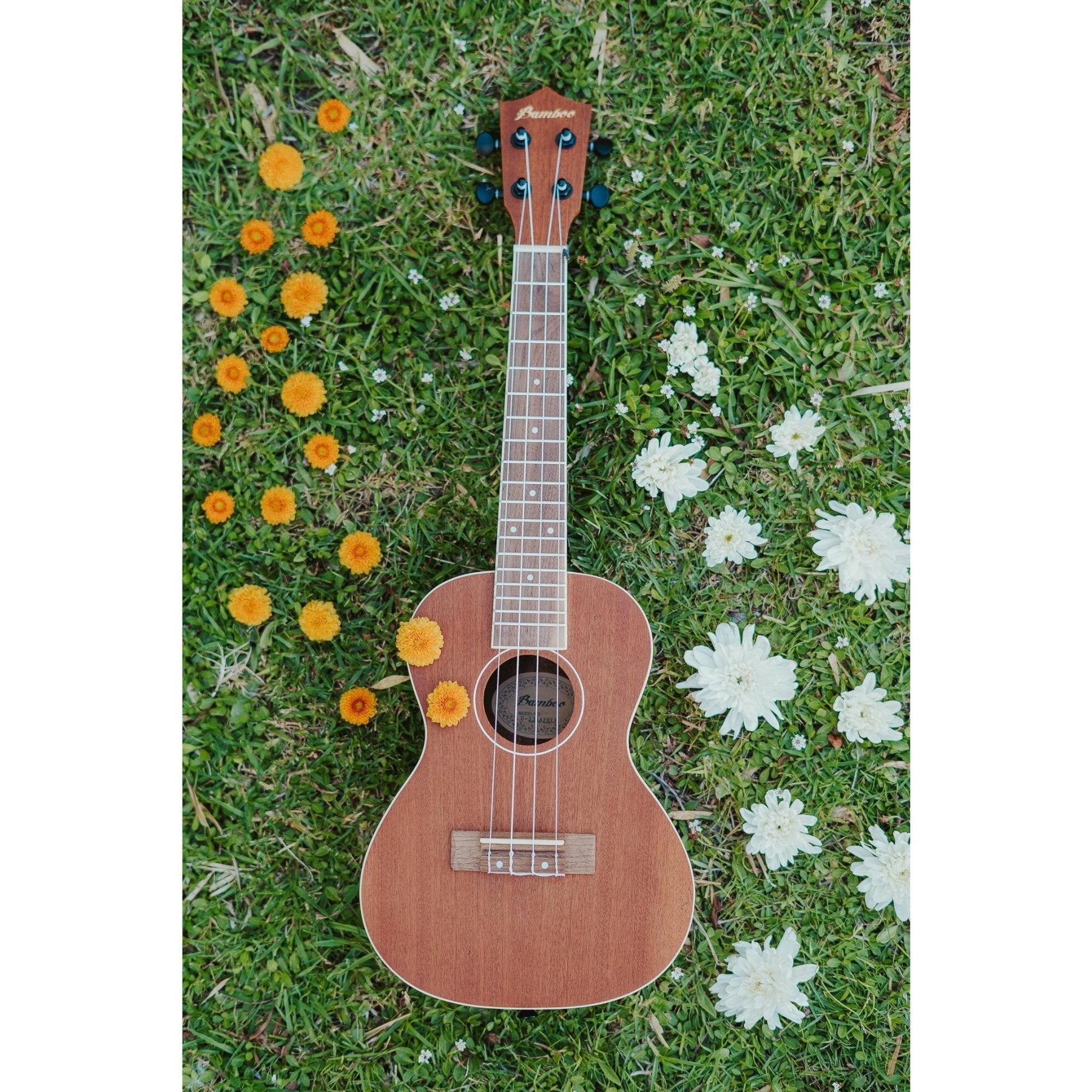 Ukelele Concierto Sapele - Incluye Funda Acolchada - Bamboo Música