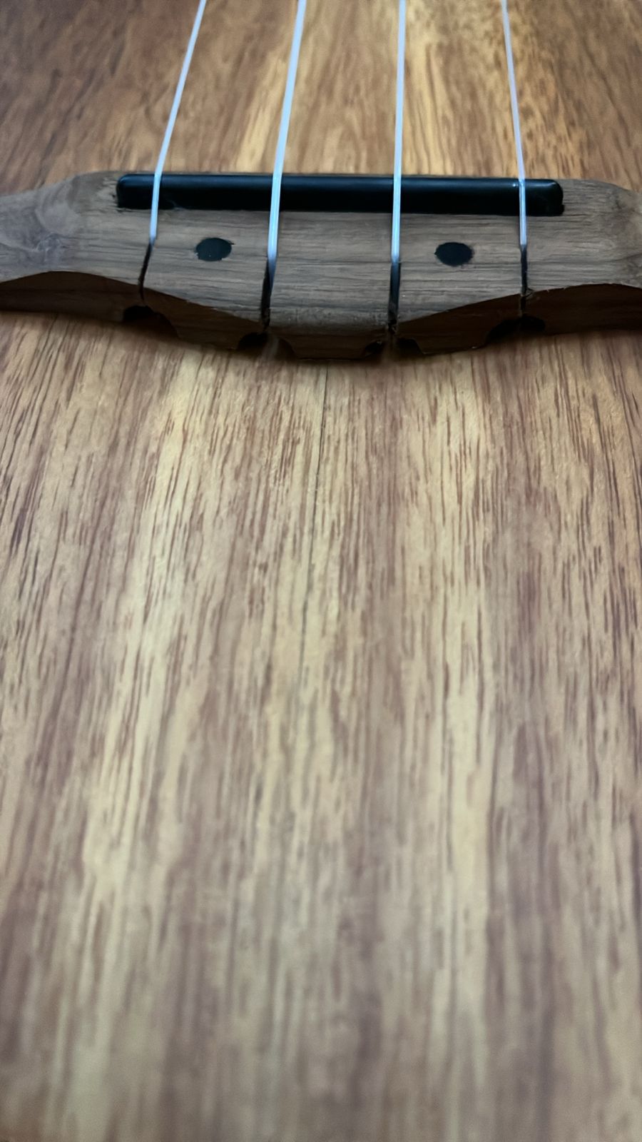 Ukelele Electroacústico Tenor Koa – Outlet (Tapa Rota) - Bamboo Música