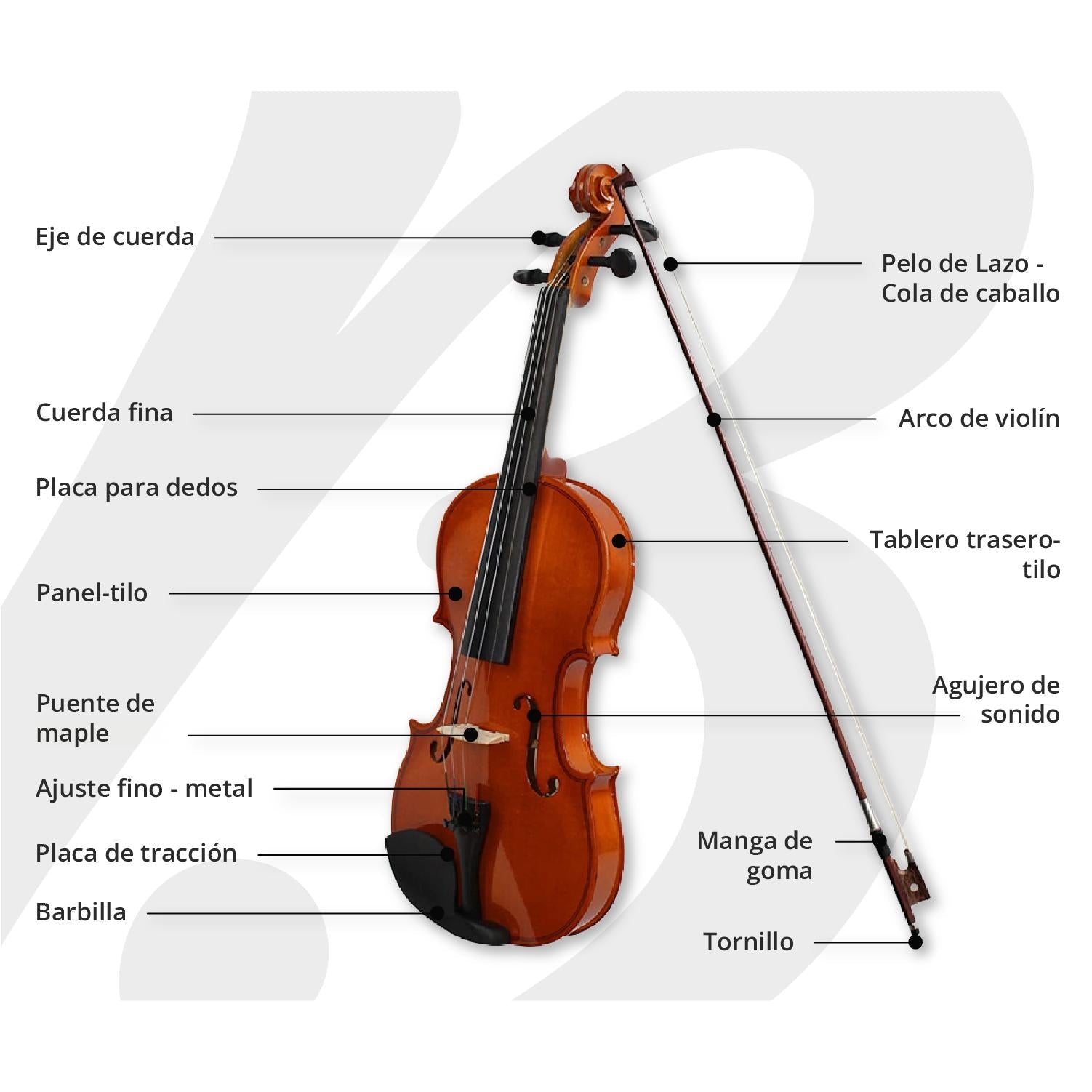 Violín 4/4 con Estuche rigido, Arco y Brea. Ideal para estudiantes - Bamboo Música