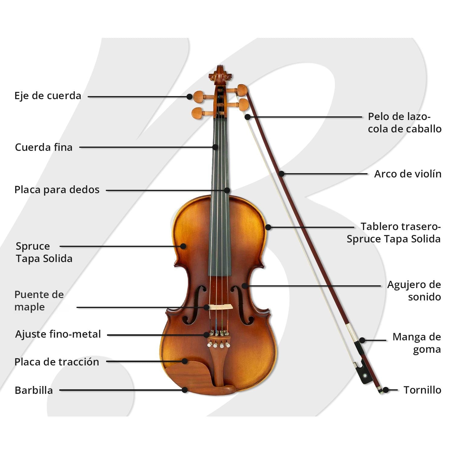 Violín 4/4 Superior con Estuche rigido, Arco y Brea. Ideal para estudiantes. - Bamboo Música
