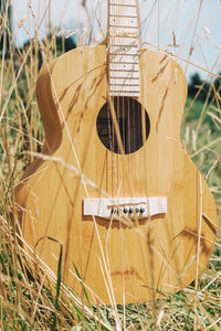 Guitarra Electroacústica Vision Bambú 38" - Incluye Funda Acolchada